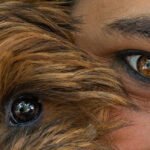 Hundeauge und Frauenauge gemeinsam